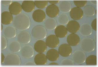 SDI再生树脂服务：资源循环利用的绿色创新